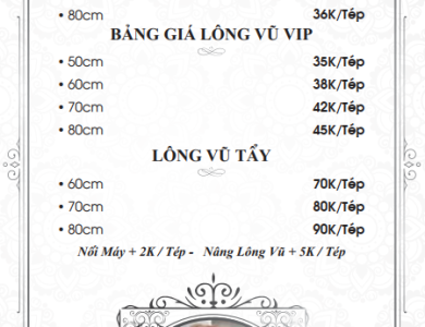 Nối Tóc 2